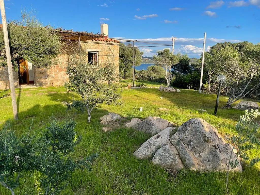 Villa La Collinetta Sul Mare à Olbia Hébergement de vacances